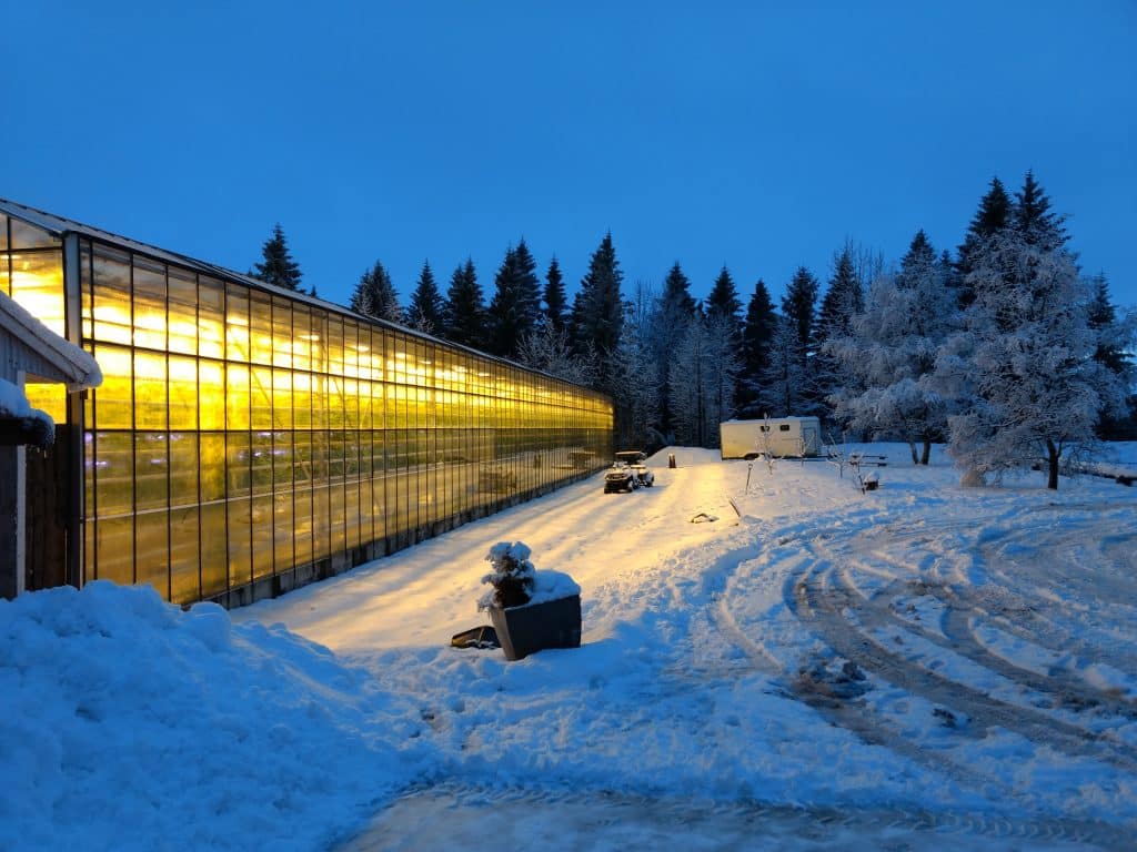 Warming Up to Sustainability: How Modern Farming Techniques Keep Our Crops Thriving in Cold Seasons