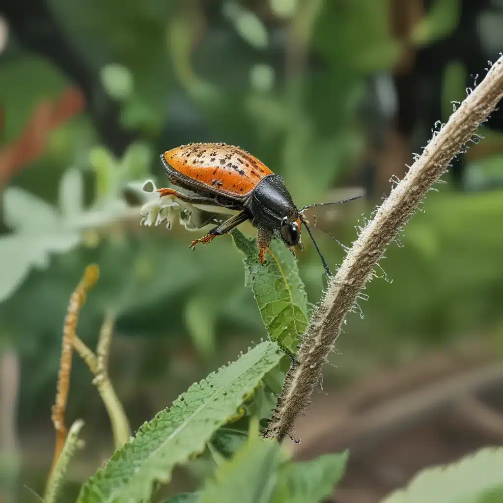 Beneficial Bugs: Inviting Nature’s Pest Controllers to Your Plot