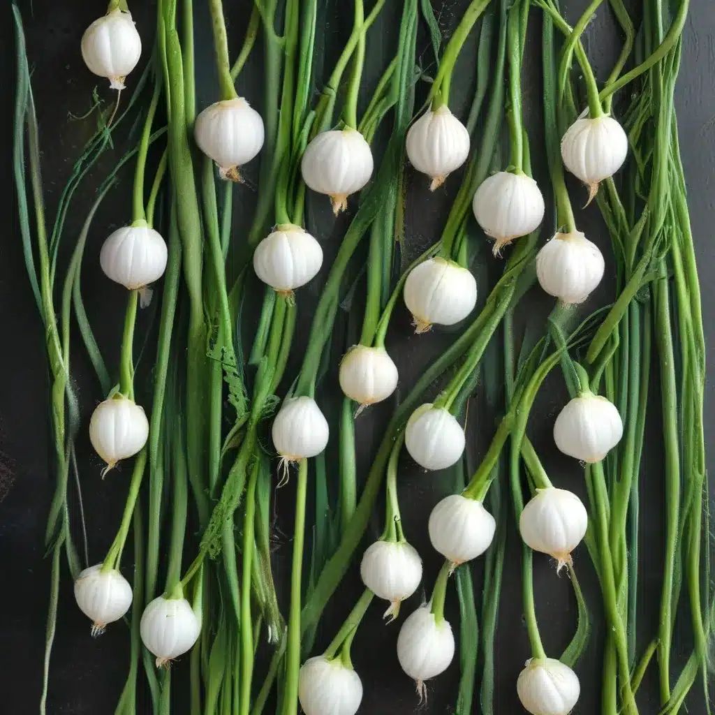 Discovering the Delights of Garlic Scapes: A Fleeting Seasonal Treat